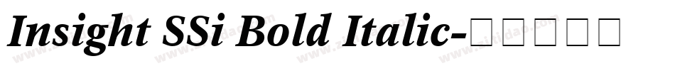 Insight SSi Bold Italic字体转换